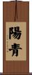 陽青 Scroll