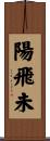陽飛未 Scroll
