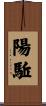 陽駈 Scroll