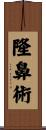 隆鼻術 Scroll