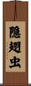 隠翅虫 Scroll
