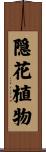 隠花植物 Scroll