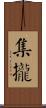 集攏 Scroll