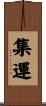 集運 Scroll
