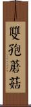 雙孢蘑菇 Scroll