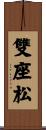 雙座松 Scroll