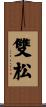 雙松 Scroll