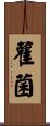雚菌 Scroll