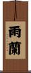 雨蘭 Scroll