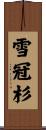 雪冠杉 Scroll
