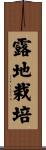 露地栽培 Scroll