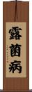 露菌病 Scroll