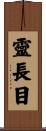 靈長目 Scroll