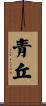 青丘 Scroll
