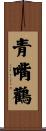 青嘴鸛 Scroll