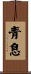 青息 Scroll