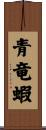 青竜蝦 Scroll