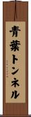 青葉トンネル Scroll