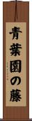 青葉園の藤 Scroll