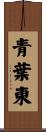 青葉東 Scroll
