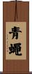 青蠅 Scroll