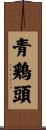 青鶏頭 Scroll