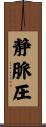 静脈圧 Scroll
