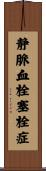 静脈血栓塞栓症 Scroll
