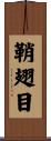 鞘翅目 Scroll