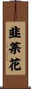 韭菜花 Scroll
