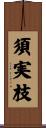 須実枝 Scroll