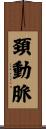 頚動脈 Scroll