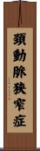頚動脈狭窄症 Scroll