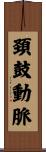 頚鼓動脈 Scroll