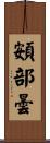 頞部曇 Scroll