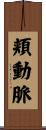 頬動脈 Scroll