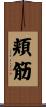 頬筋 Scroll