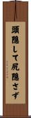頭隠して尻隠さず Scroll