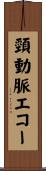 頸動脈エコー Scroll
