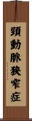 頸動脈狭窄症 Scroll