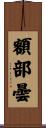 額部曇 Scroll
