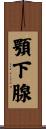 顎下腺 Scroll