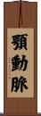 顎動脈 Scroll