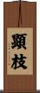 顕枝 Scroll
