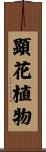顕花植物 Scroll