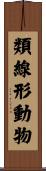 類線形動物 Scroll