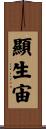 顯生宙 Scroll