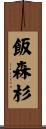 飯森杉 Scroll