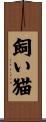 飼い猫 Scroll