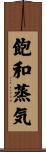 飽和蒸気 Scroll